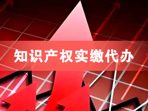 巴中知识产权实缴资本代办